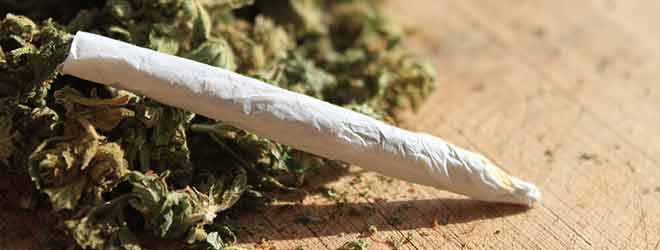 marijuana used in drugged driving accident