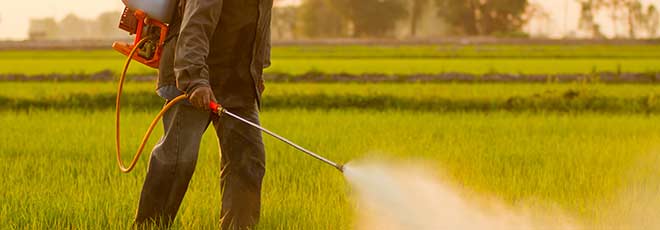 Monsanto Roundup herbicide spray