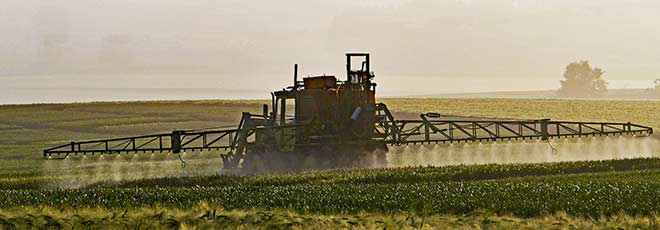 A tractor spraying Glyphosate on crops.