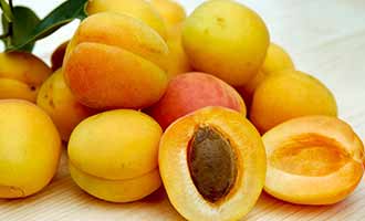 Recalled Apricots