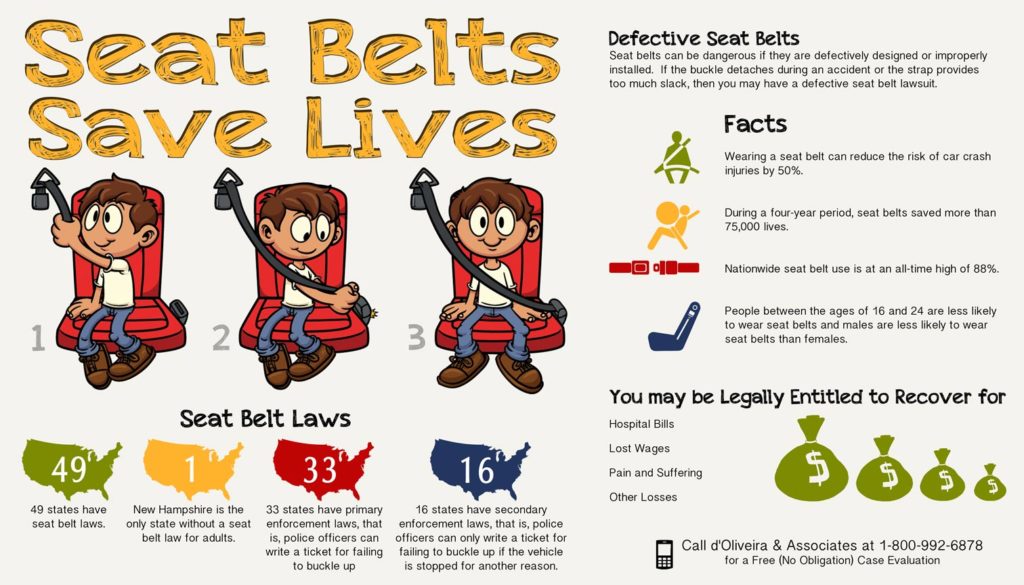 Seat Belts Save Lives Infographic