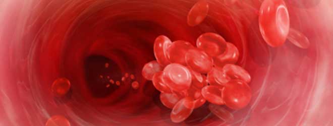 red blood cells
