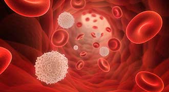 Red and white blood cells of an autoimmune disease patient.
