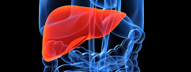 human liver that could develop a liver disease