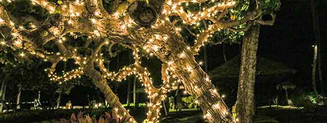 holiday safety tips for holiday lights