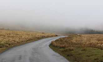 foggy road