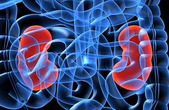 Heartburn Medications effects on the kidneys
