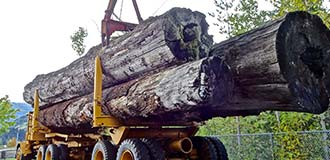 logger loading transport