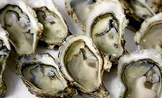 Recalled Oysters