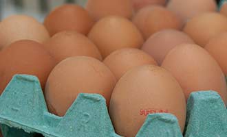 Recalled Michigan Farm Eggs