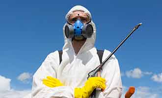 Monsanto’s Roundup contains glyphosate a chemical linked to cancer