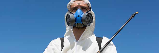 man using broad-spectrum herbicide Monsanto Roundup