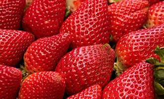 Recalled Strawberries