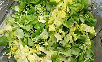 Recalled Chopped Salad Mix