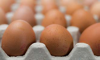 Recalled Cage Free Eggs