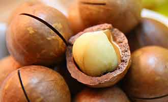 Recalled Macadamia Nuts