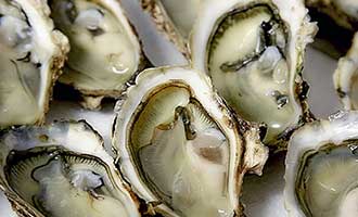 Recalled Ocean Oysters