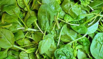 Recalled Baby Spinach