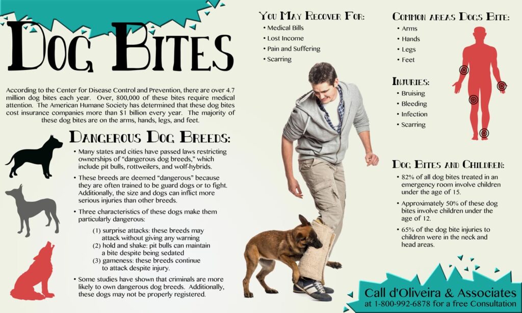 dog bite facts infographic